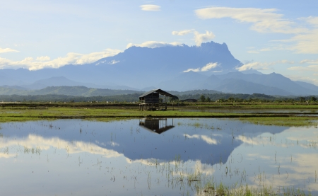 Reflection of Mount Kinabalu at Sabah, Borneo, Malaysiaの写真素材