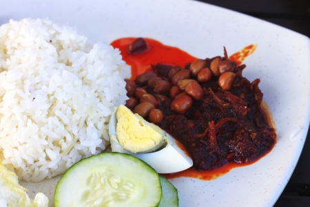 nasi lemak, a traditional malay curry paste rice dishの写真素材
