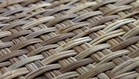 Bamboo texture and pattern