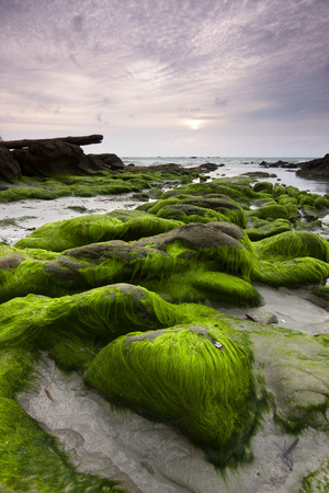 Mossy rocks at a beach in Kudat, Sabah, East Malaysia, Borneo