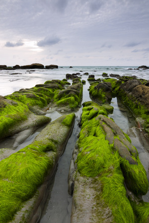 Mossy rocks at a beach in Kudat, Sabah, East Malaysia, Borneoの写真素材