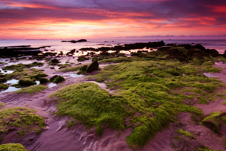 Rocks with green moss on a gloomy evening in Kudat, Sabah, East Malaysia, Borneoの写真素材