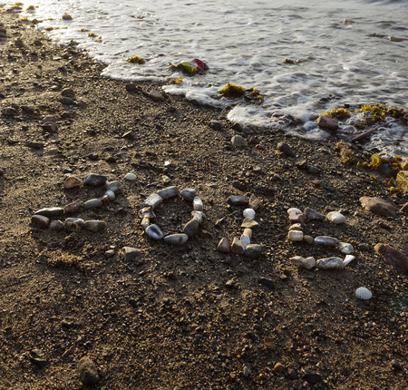 2015 in pebbles at a beach