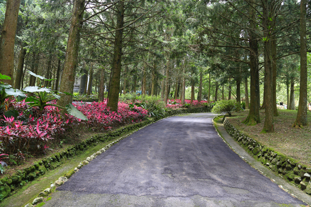 Pathway in a garden with flowers and trees at Formosan Cultural Village, Taiwanの写真素材