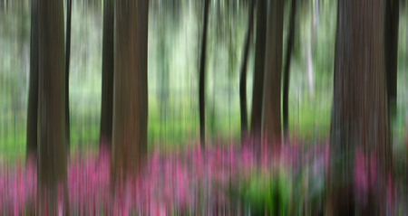 Colorful abstract motion blur of trees in a forestの写真素材