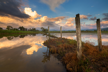 Beautiful sunset reflection at sunset in Kota Marudu, Sabah, East Malaysiaの写真素材