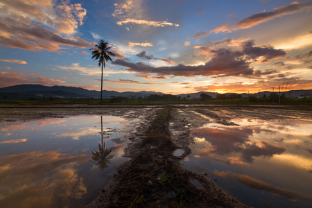Dramatic sunset reflection in Kota Marudu, Sabah, Malaysiaの写真素材