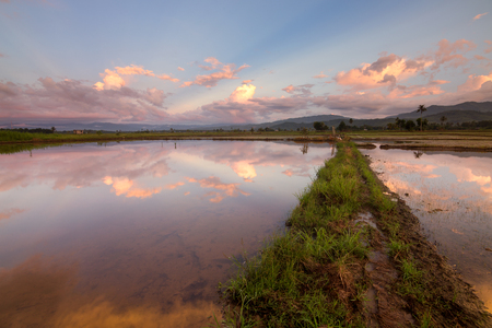 Beautiful sunset reflection at sunset in Kota Marudu, Sabah, East Malaysiaの写真素材