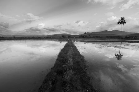 Beautiful reflection of clouds in a rural area in black and white. Kota Marudu, Sabah, East Malaysiaの写真素材