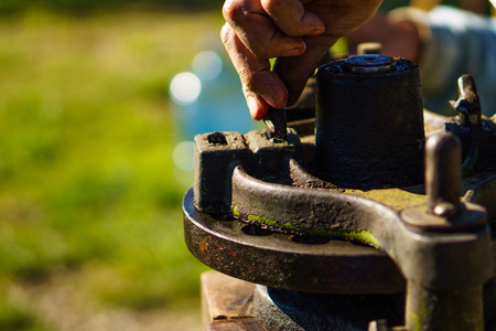 Snail of the pressの写真素材