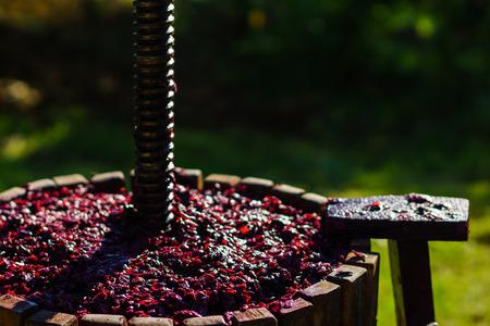 Wine in the pressの写真素材