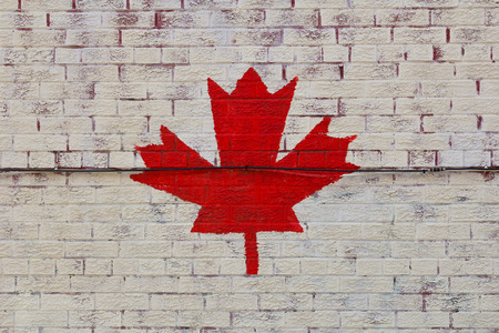 The Canadian Maple Leaf painted on a wallの写真素材