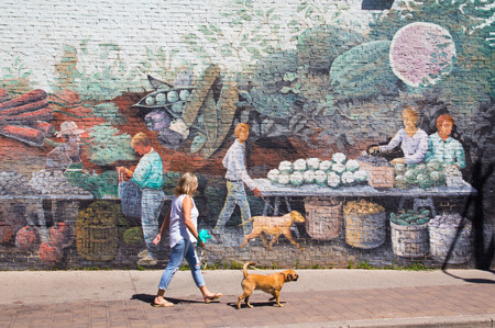 TORONTO, CANADA - 22ND JUNE 2014: Wall Art in Central Toronto with a lady walking past with her dogのeditorial素材