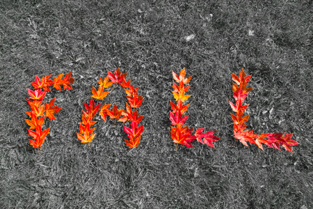 Red leaves that have fallen to the ground spelling out the word 'Fall' with a color splash effectの写真素材