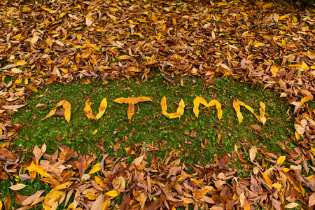 The words Autumn written with leavesの写真素材