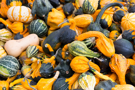 Gourds at a market stallの写真素材