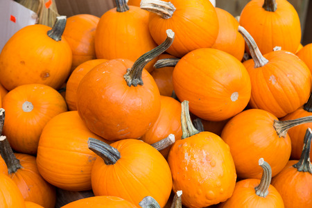 Pumpkins at a market stall