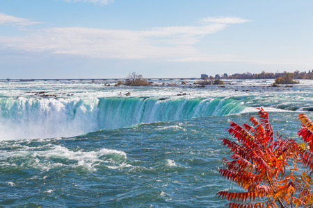 A view of the Horseshoe Falls  with foliage on the sideの写真素材