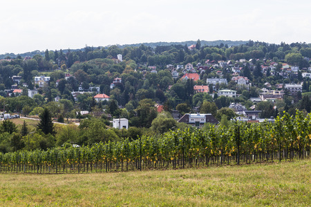 VIENNA, AUSTRIA - 21ST AUGUST 2015: A view of part of a Plantation and Buildings in the outskirts of Vienna during the day.のeditorial素材