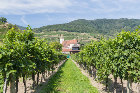 KREMS, AUSTRIA - 28TH AUGUST 2015: A view of buildings and Vineyards in Krems during the summer months.のeditorial素材