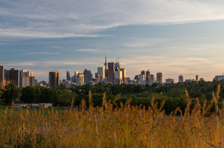 TORONTO, CANADA - 27TH MAY 2015: The Toronto Skyline towards sunset with plant foilage in the...