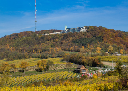 VIENNA, AUSTRIA - 26TH OCTOBER 2015: Kahlberg and Vineyards in Vienna during the Autumn.  Colourful Trees can be seen on the hillsのeditorial素材