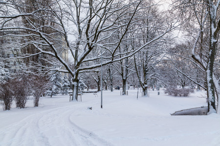 RIGA, LATVIA - 3RD JAN 2017:  Kronvalda Parks in central Riga during the day in the winter showing lots of snow.のeditorial素材