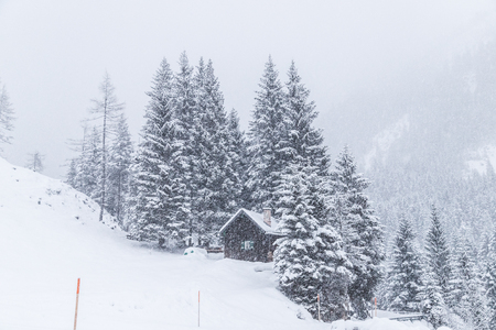 A mountain hut in the Austrian Alps with snow covered treesの写真素材