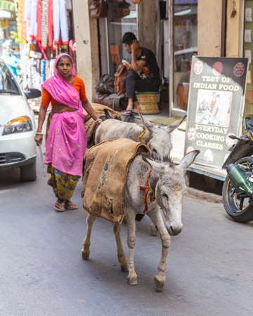 UDAIPUR, INDIA - 21ST MARCH 2016: Donkeys along a street in India. A lady and man can also be seen.