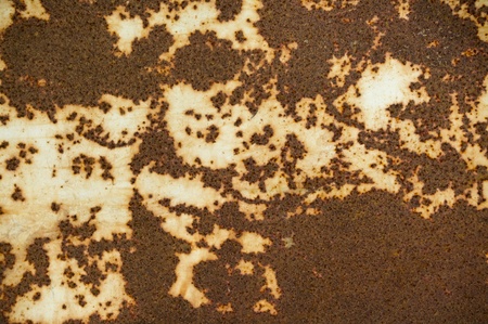 texture for background layer used by designersの写真素材