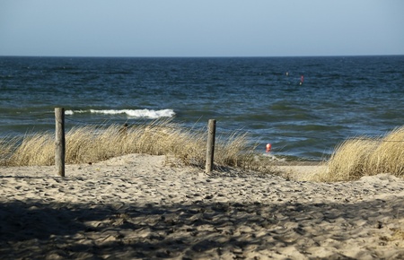 beach view