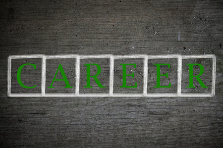 Career writen on a wallの写真素材