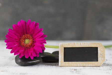 quality of life concept with pink gerbera and empty signの写真素材