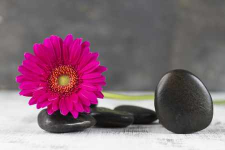 beauty therapy concept with hot stones and pink gerberaの写真素材