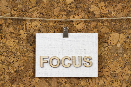 Focusの写真素材