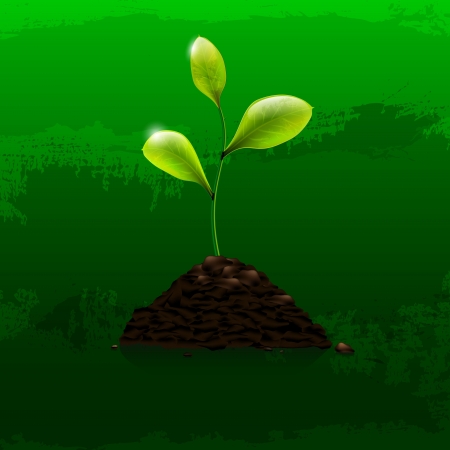 Green sprout on grunge backgroundのイラスト素材