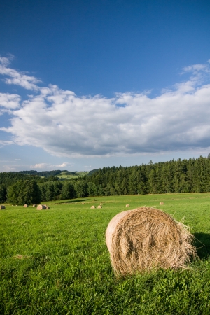 Summer countryside - farmland in Czech Republicの写真素材