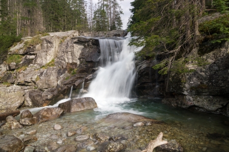 Creek in summer mountains - High Tatras, Slovakia, Europeの写真素材