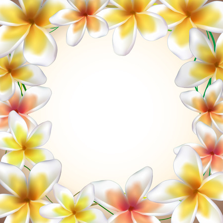 Frame from Frangipani flowers with place for your text. Vector illustration.のイラスト素材