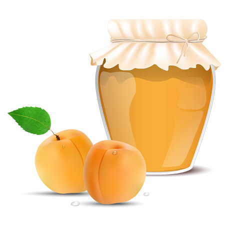 Apricot jam in a jar and fresh apricots - isolated on white background. Vector illustration.のイラスト素材