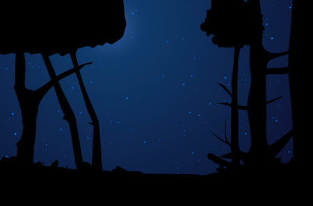 Night forest and the starry sky - vector illustrationのイラスト素材