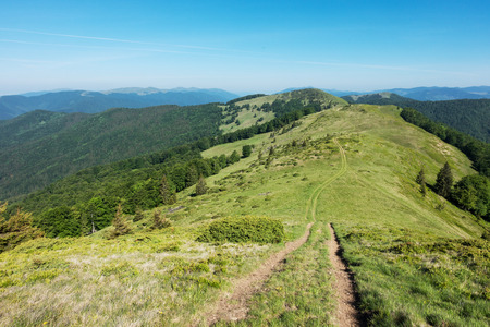 Path Through the amazing spring mountain ridge under blue sky Svydovets Range Carpathians West Ukraineの写真素材