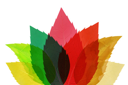 Multicolored abstract leaves - isolated on white background. Vector illustration.