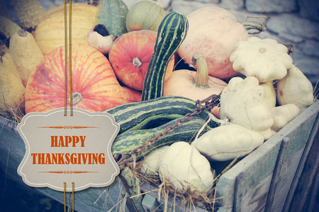 Pumpkins with Happy Thanksgiving paper tag in retro colors - holiday cardの写真素材