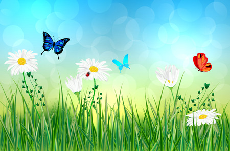 Spring or summer abstract meadow with daisy flowers and butterflies - vector illustrationのイラスト素材