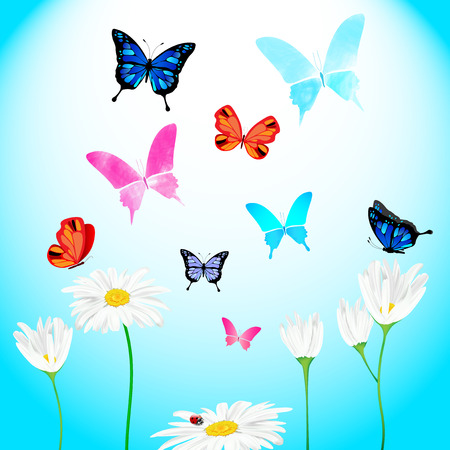 Set of daisies and butterflies for your spring or summer design - vector illustrationのイラスト素材