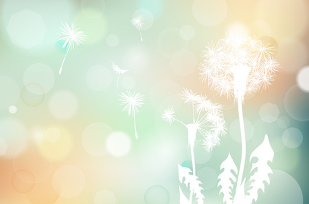 Abstract faded dandelions silhouette and blurred bokeh background - vector illustrationのイラスト素材