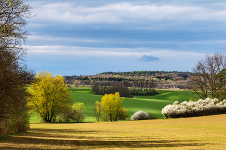 Amazing colorful spring landscape with flowering bushes under blue sky - Czech Republic, Europeの写真素材