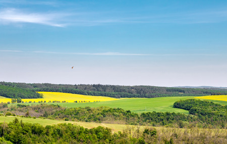 Spring rural landscape with fields, blue sky and bird. Amazing farmland in spring season, green and yellow fields, clear blue sky and flying buzzard bird.の写真素材