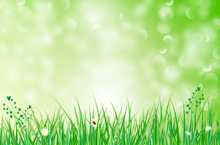 Green background with grass, flowers and blurred bokeh - vector illustrationのイラスト素材